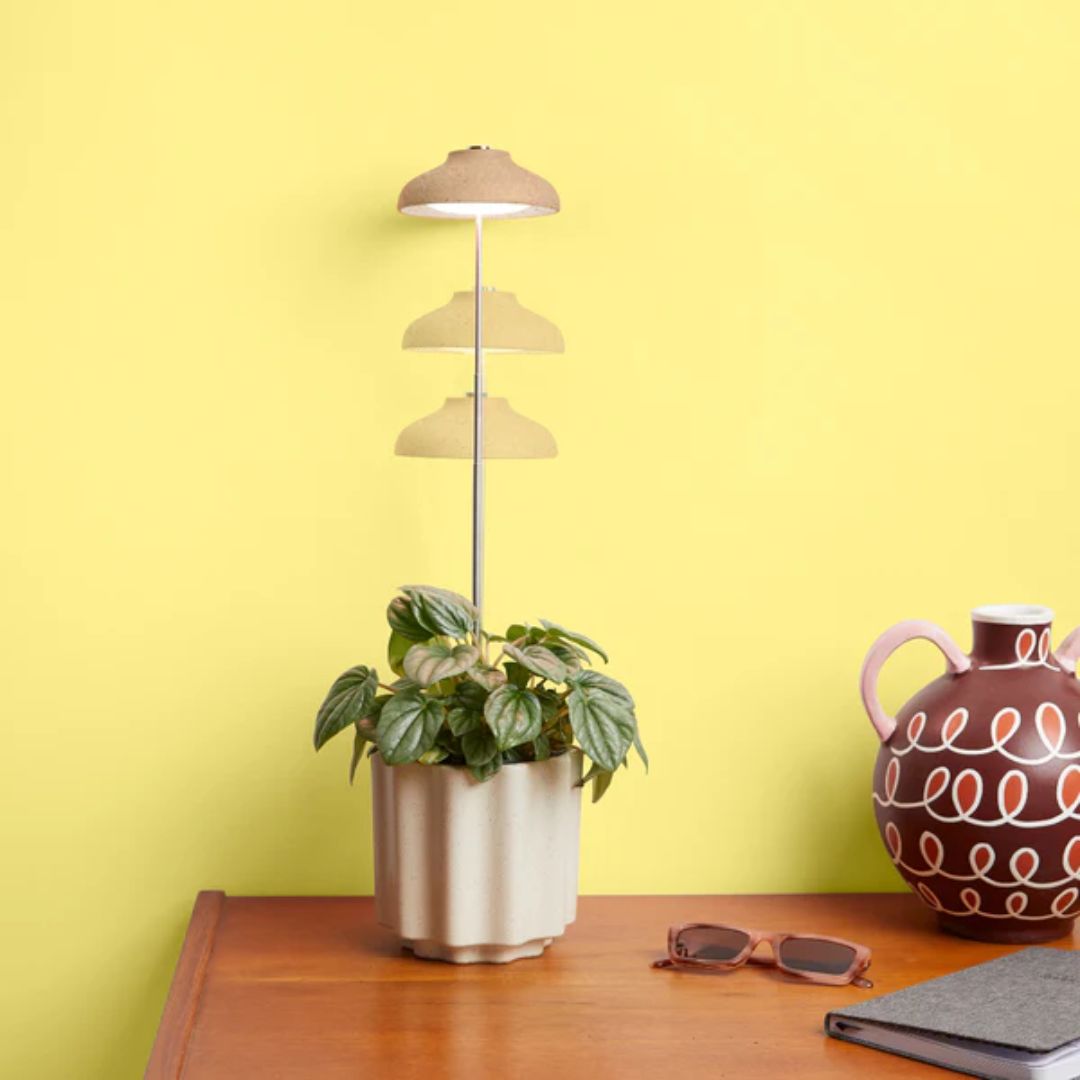 Instant Sun Houseplant Grow Lamp – We The Wild